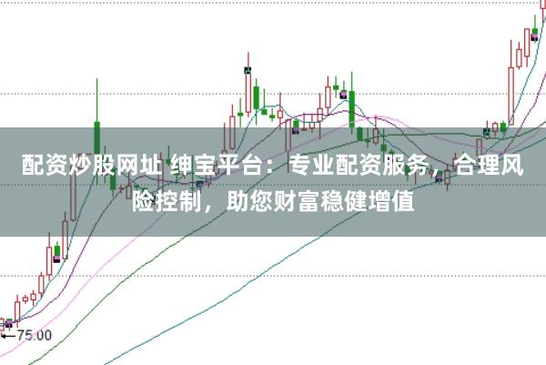 配资炒股网址 绅宝平台：专业配资服务，合理风险控制，助您财富稳健增值