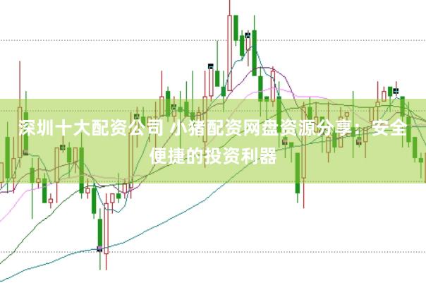 深圳十大配资公司 小猪配资网盘资源分享：安全便捷的投资利器