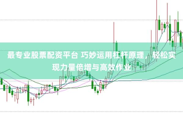 最专业股票配资平台 巧妙运用杠杆原理，轻松实现力量倍增与高效作业